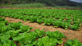 2016�����������ЙC(j��)���ИI(y��)ӭ���°l(f��)չ