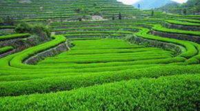 �ЙC���B�r�I߀ԭ�r�I���B���|