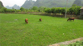 12��30���r�I�����_���Օ��h�о������Bֳ�U����̎�����YԴ������