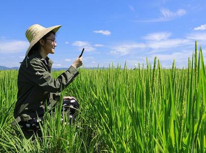 �u���мt���l(xi��ng) ͻ���l(xi��ng)�����c(di��n)�ú��{(di��o)��(y��u)�r(n��ng)�I(y��)�Y(ji��)��(g��u)