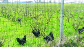 �ЙC(j��)���O(sh��)��-���ݼS��ğo�������YԴ������