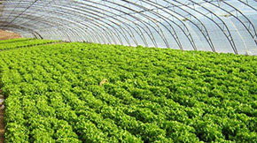 ����S��׃��ؐ���J��ѭ�h�r�I�����