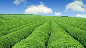 �r�I�Gɫ�lչԇ�c���oץ�ն��C�����õ�����I��lչ