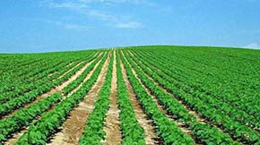 �ЙC��������ʣ������r�I�Gɫ�lչ