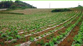 �㽭ʡ��Ʒ�ЙC���ƏV���ó�Ч�@��