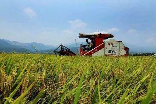 �������r�����e�����M(j��n)���ݼS���YԴ�������(xi��ng)Ŀ