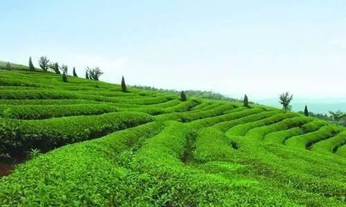 ��̶�д��M(j��n)���ݷ����YԴ������