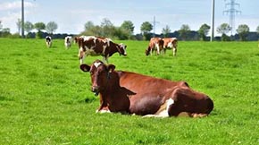 �B�d�мӿ쌍(sh��)�F(xi��n)���ݼS�۾C��������