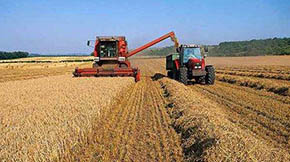 2021�����ʡ�r(n��ng)�C(j��)ُ(g��u)���a(b��)�N��18�|Ԫ