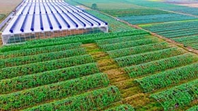 �Ͳ������ݼS��ץ���ã��������Bѭ�h�r�I���`����