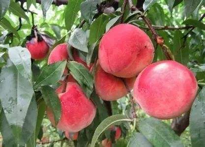 �r�I�����ݼS���YԴ���������M��ʽ