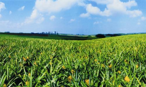 �ǻ��r�C���M�����Bֳ���ܻ��lչ