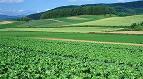 ���������Y�� �p����Դ��Ⱦ �����|��ʡ�ЙC��ʩ���������^2000�f��