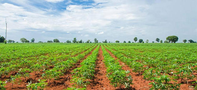 �����r�I���o�ȸĸ���ЙC��ӭ������