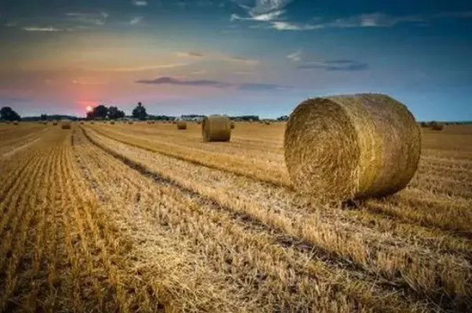 �ն��̻������Ŀ