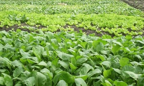 ���ݼS��̎����Դ�������ϻ������I���ɞ鷽��