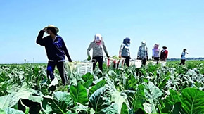 2021��Gɫ�N�Bѭ�h�r�Iԇ�c���gָ����Ҋ