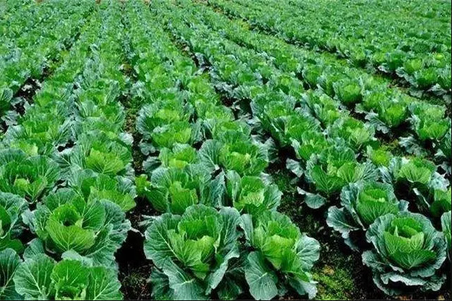 �|���d�r �Gɫ�d�r