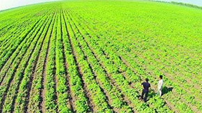 ؔ���� �r�I�r�岿�l��2021�����c���r���r����