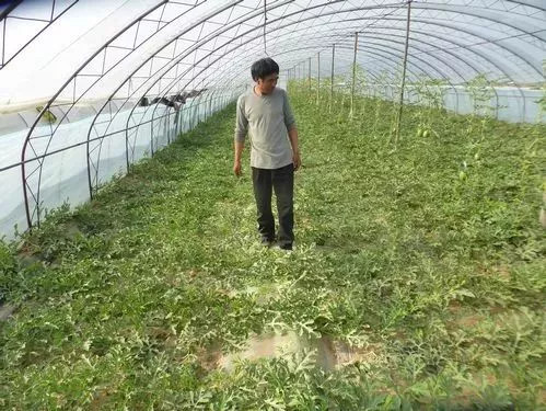 �r�I�r�岿����ֹ���ݼSֱ��߀�ȫ���������飡