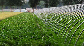 �Ƅӡ��S�ۡ�׃���S�ʡ������M�ЙC�ʿƌW����ʩ�ã�