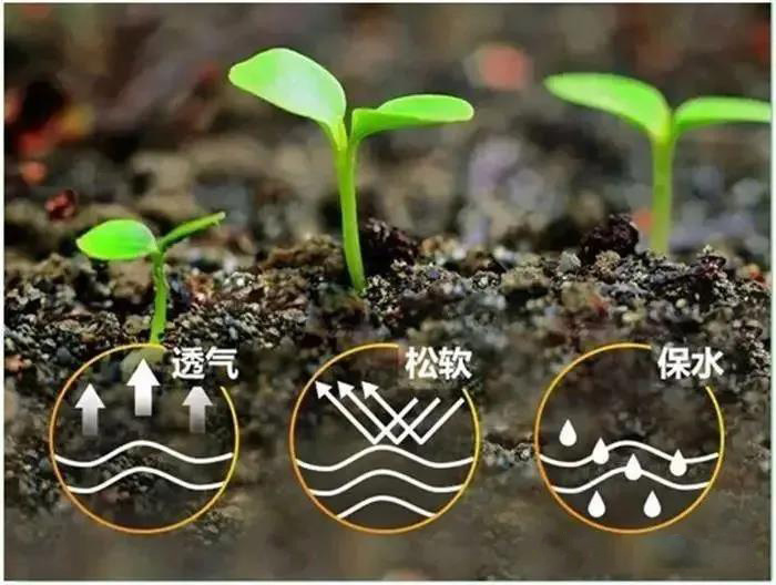 δ�������ЙC�ʱ،��ɞ�����ИI���a���r�Y���M�ğ��c��