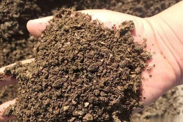 �lչ�ͺ�΢������ϣ��ǽ��İlչڅ��