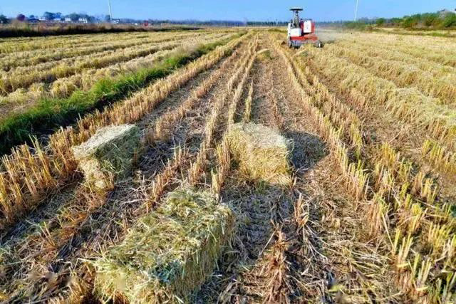 ���ա��M���ܣ�ɽ�|���ȫʡ�ն��C�������ʷ�(w��n)����95������