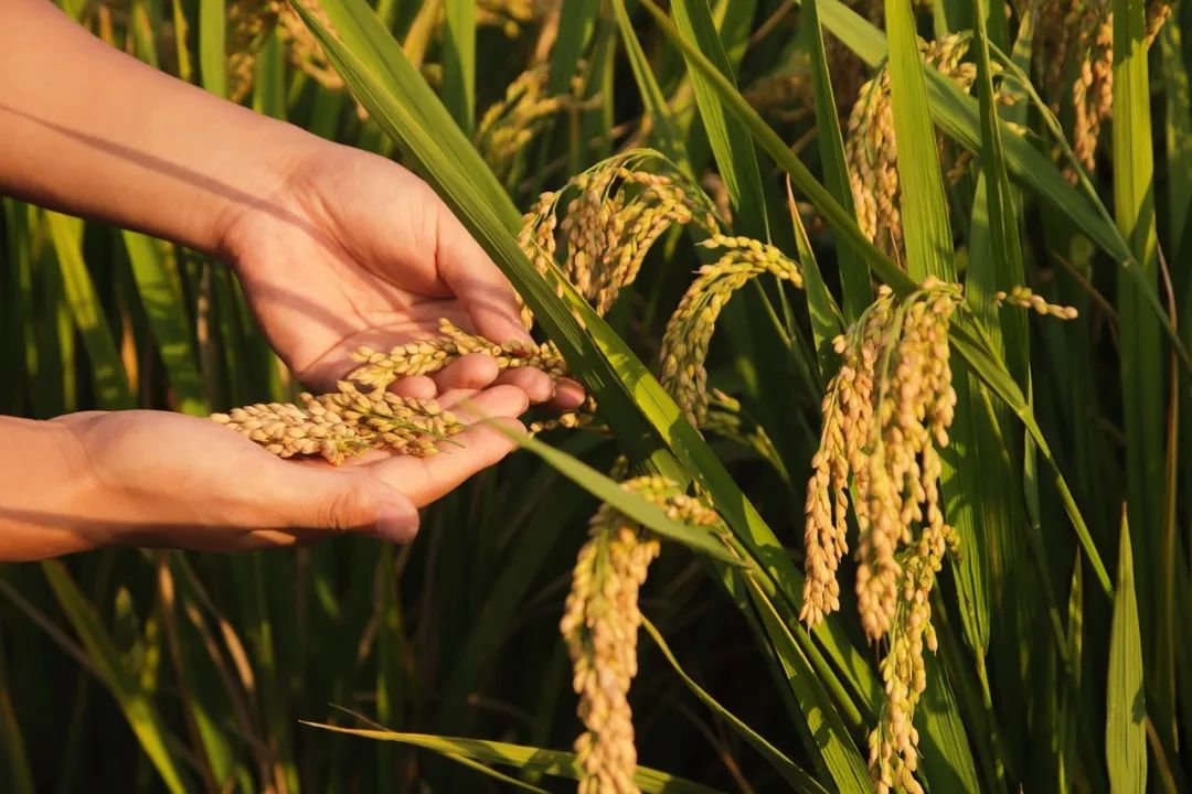 ���붨�{(di��o)�������ЙC(j��)�ʌ�ȫ����ٰl(f��)����