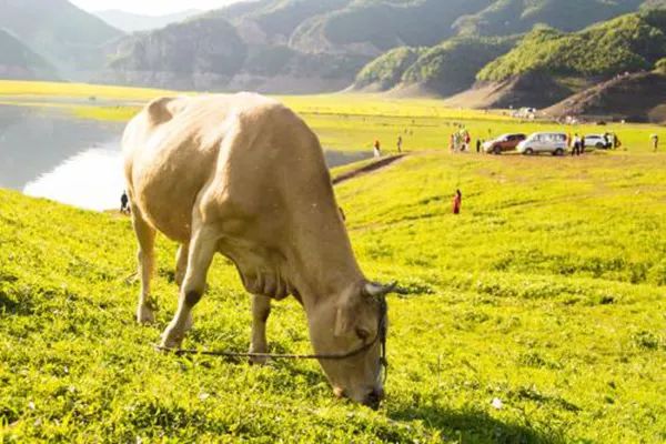 ���ݼS���YԴ�����á��ЙC(j��)��������ʵȾGɫ�(xi��ng)Ŀ�������Ո(q��ng)�a(b��)�N��