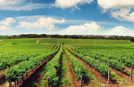 ��οƌW����ȫʩ���ЙC����