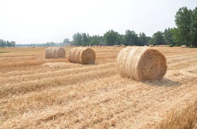 ���U�ϡ�׃�����ϡ������Gɫ�r�I(y��)�l(f��)չ