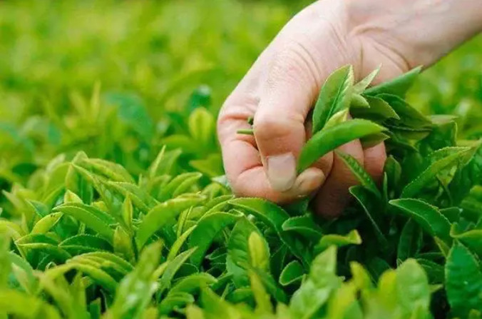 ���ИI(y��)�����ݼS���YԴ��ѭ�h(hu��n)���õĽ�����