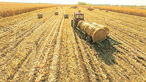 �ն���ӹ�����Gɫ�a�I(y��)�