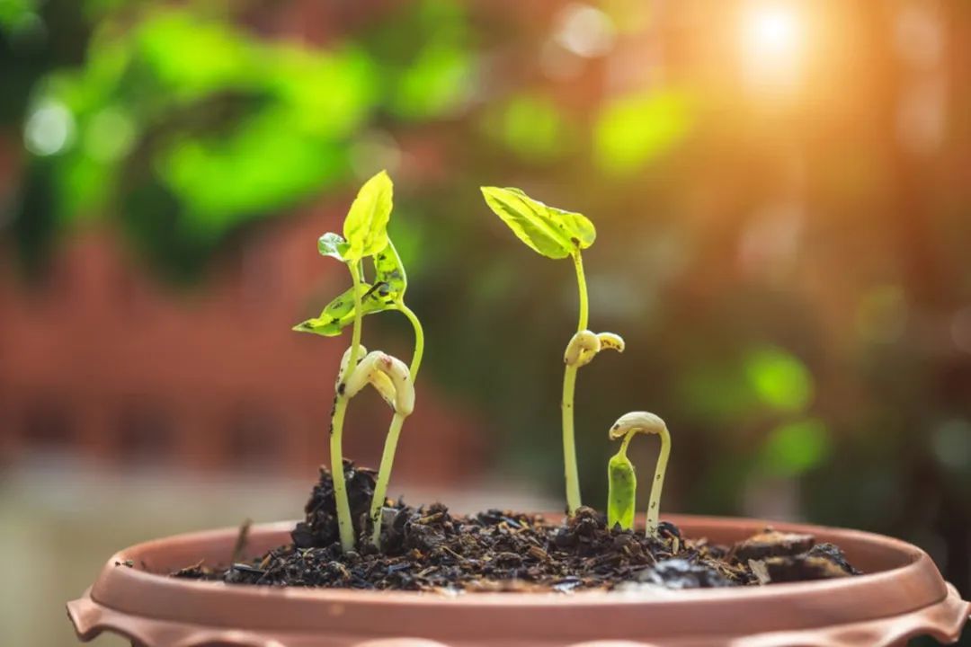 2000�f�����҇��ЙC���Ј�����޴�