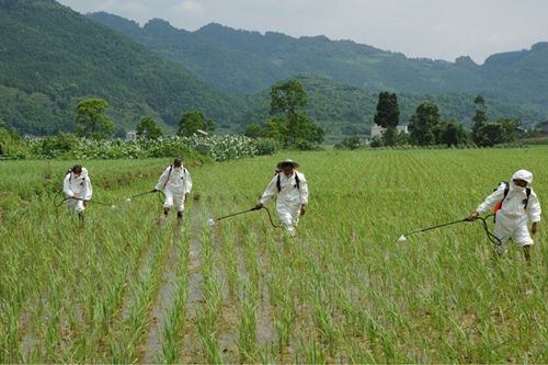 ���ݼS�۾C���������_92%