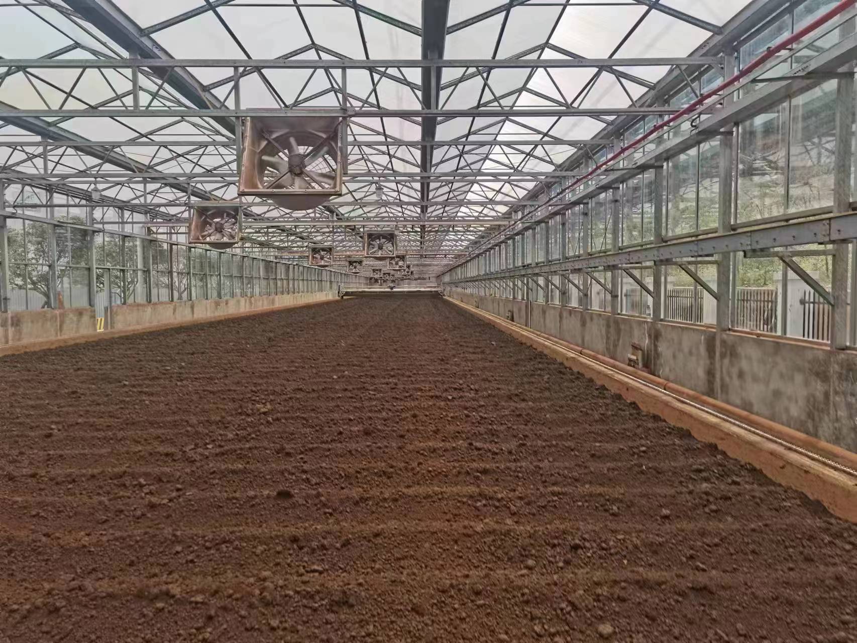 �ЙC�ʰl�͵��P�I�h������Щ��