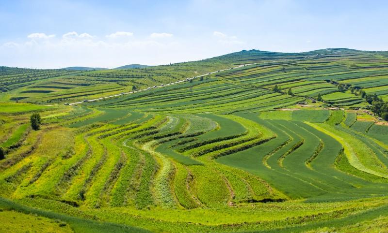 �ЙC(j��)�����a(ch��n)���������Gɫ�r(n��ng)�I(y��)�l(f��)չ