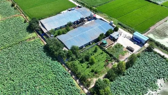 �������꣺���ݼS�۟o����̎���������r(n��ng)��p����Ⱦ