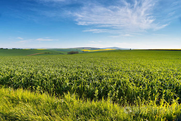 �N�B(y��ng)��Y(ji��)�� �ͮa(ch��n)׃�߮a(ch��n)