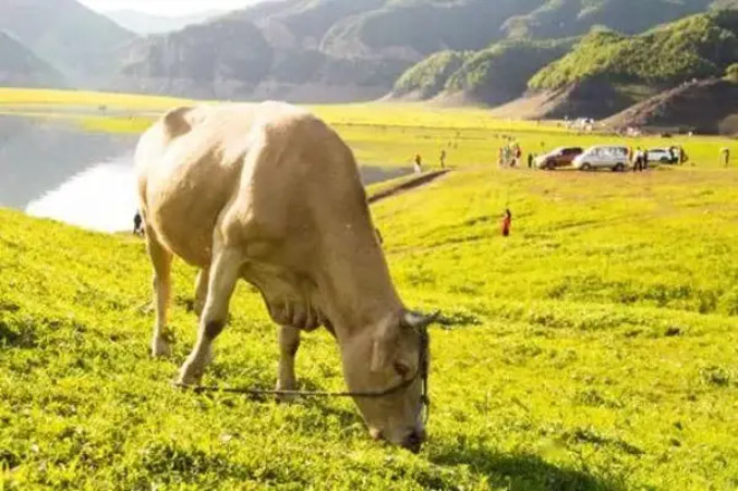 �F���~���fɽ���ݼS��׃���U���錚�����B(t��i)ѭ�h(hu��n)�r(n��ng)�I(y��)�����l(xi��ng)�����d