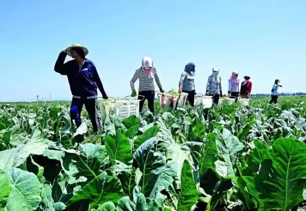 ���M(j��n)һ�����_���ݼS��߀������Ҫ��(qi��ng)���B(y��ng)ֳ��Ⱦ�O(ji��n)�ܵ�֪ͨ