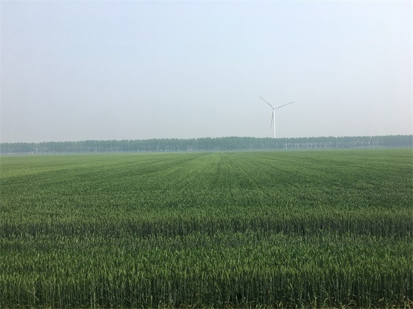 �r(n��ng)�I(y��)�r(n��ng)�岿���P�ڳ��m(x��)���M���ݼS���YԴ�����ø���ˮƽ���ϼZʳ��ȫ�Ľ��h����