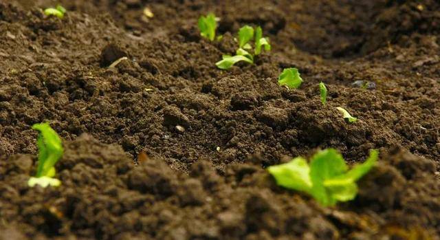 �r(n��ng)�I(y��)�r(n��ng)�岿�������M���ݼS���YԴ�������Ŀ