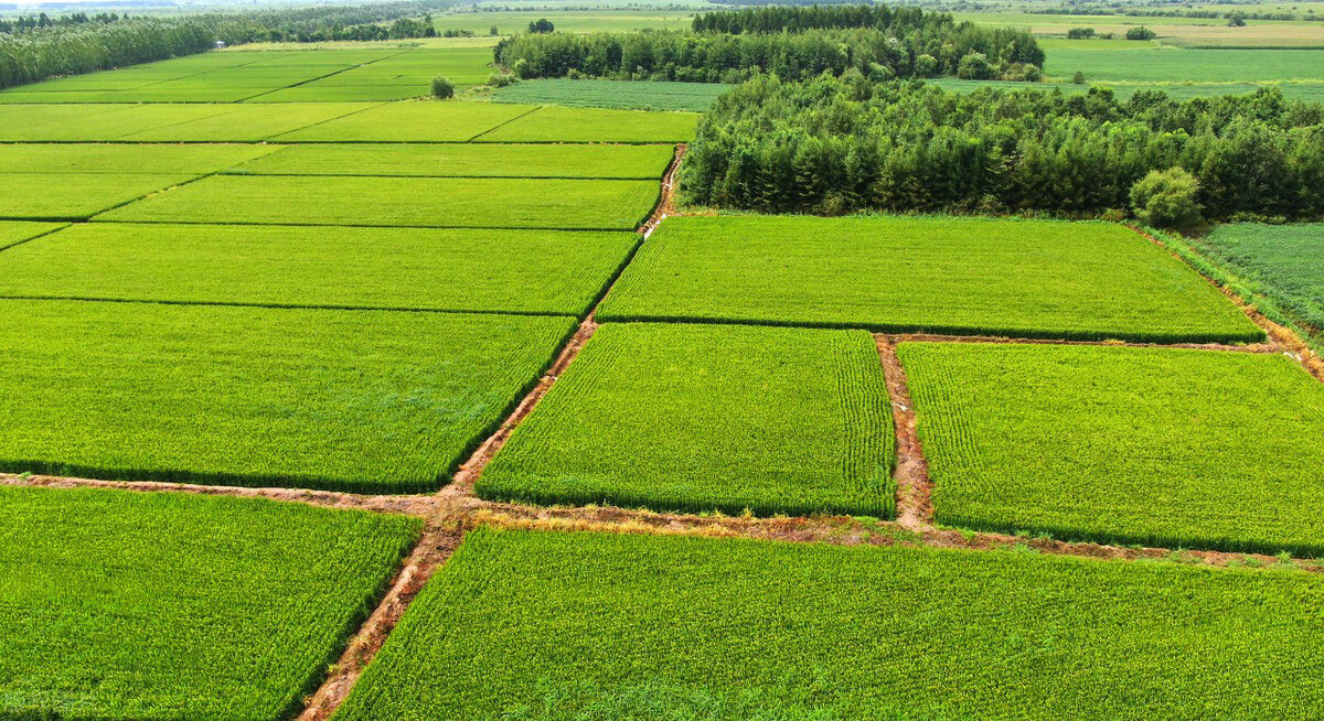 �ػ��У��Ѵ���ɫ���ݮa�I �����r�I���|��Ч