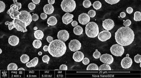 �������g(sh��)�İl(f��)չ