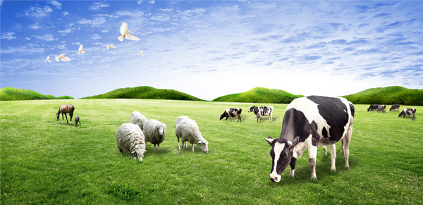 �ЙC(j��)���ИI(y��)���g(sh��)֮�B(y��ng)ֳ�I(y��)���h(hu��n)���ēp��