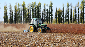 �ЙC���c���������