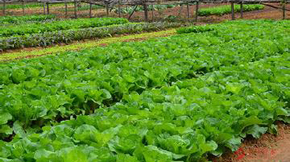 �ЙC�ʌ��߲����L�l����Ӱ�