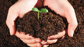 ���ϷN�������ֳ�|�M�ɵ�Ӱ�